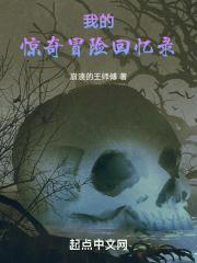 我的惊奇冒险回忆录在线阅读