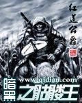 暗黑骷髅王tx电子书