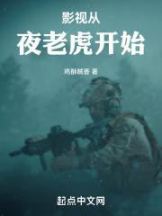 影视夜老虎开始免费阅读无弹窗