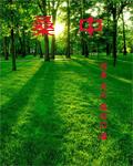 桑螵蛸怎么吃治遗尿