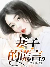 妻子的谎言 电视剧