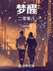 二零零八年日历
