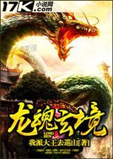 龙魂是什么效果