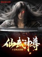 仙武神尊叶辰