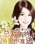 总裁通缉令俏妻别绪逃