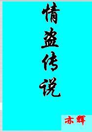 盗情说的什么