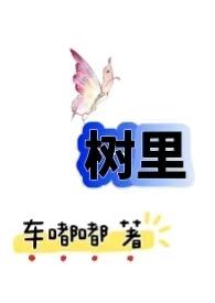 从农村包围城市车嘟嘟