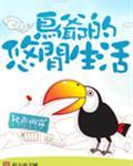 鸟爷的悠闲生活类似