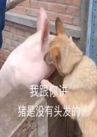 春集山校园1v1