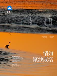 聚沙成塔退款流程详解