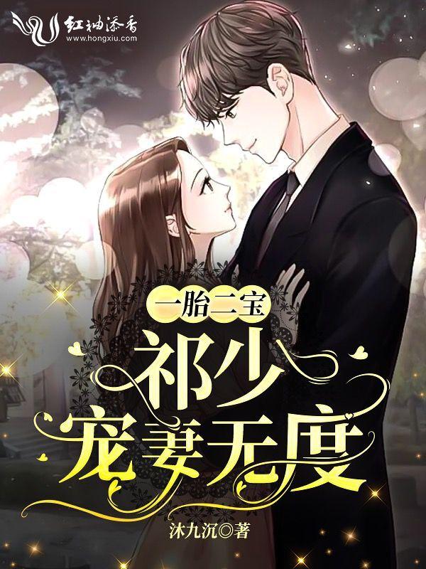 一胎二宝慕少凌最新