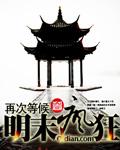 明末疯狂 吴世恭 再次等待