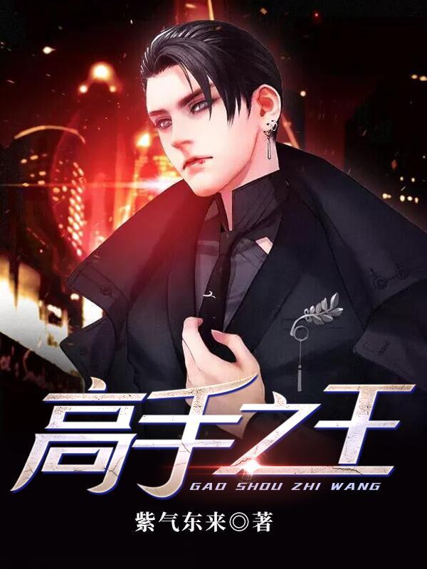 高手之王TXT完结版最新章节列表