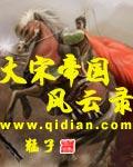 大宋帝国风云录讲什么