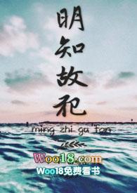 明知故犯歌曲