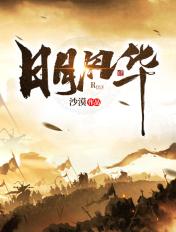 日月风华讲的什么故事
