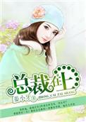 总裁在上多少字