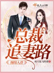 缠绵入骨总裁只欢不爱全文免费阅读全文叶果