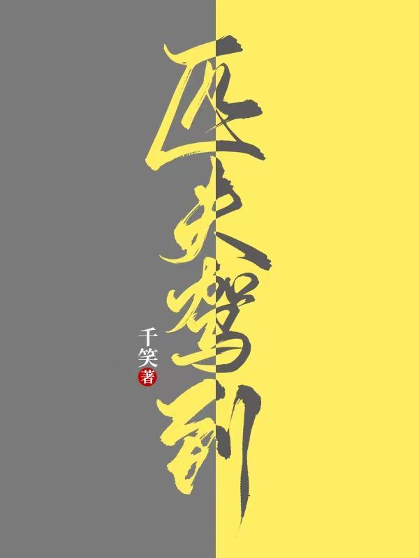 匹夫驾到主角什么组织