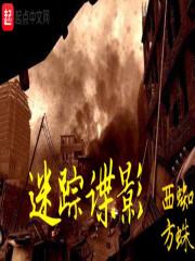 迷踪谍影听书