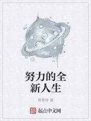努力后的人生