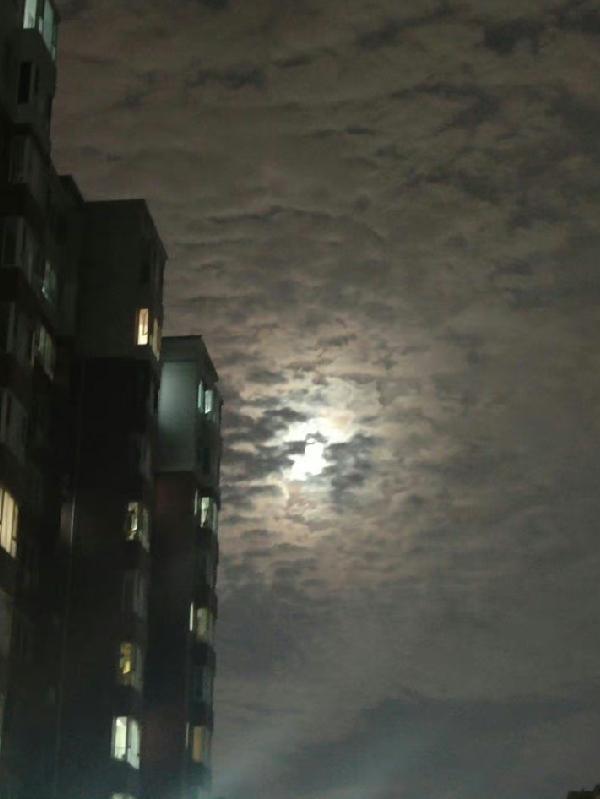 末世之全家求生