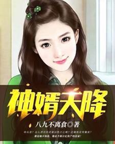 神婿天降无错网