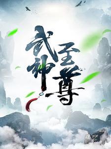 叶风叶紫灵在线阅读
