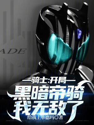 主角是黑暗骑士的