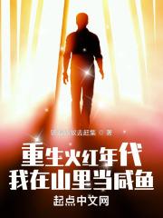 重生火红年代我在山里当咸鱼韩晓康