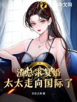 渣总追妻火葬场简介