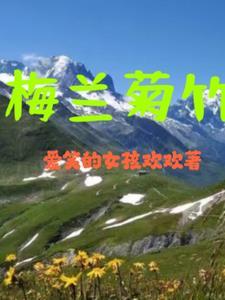 梅兰竹菊图片高清