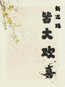 新还珠片段