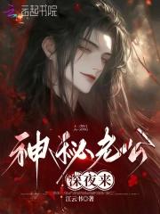 神秘老公深夜来txt