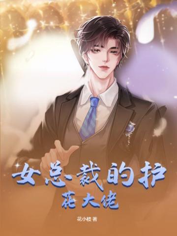 美女总裁的护花保镖百科