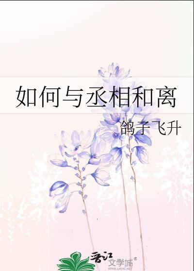 如何与丞相和离txt番外