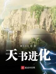 天书进化 沉若冰