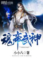 魂帝武神TXT完本