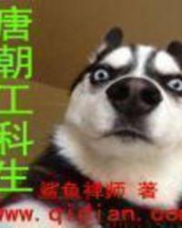 唐朝工科生有声