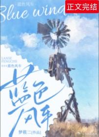蓝色风车附带番外