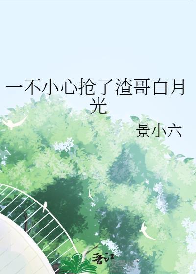 一不小心抢了女主的男主百度