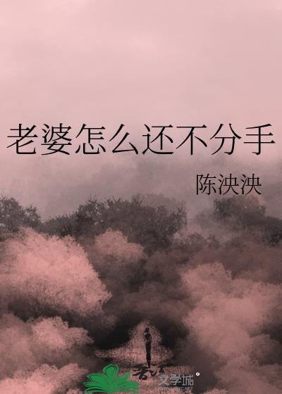 老婆怎么还不分手全文阅读