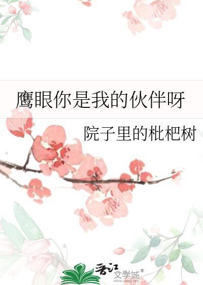鹰眼你是我的伙伴呀免费阅读