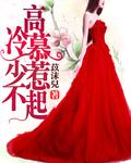 慕少情缠高冷妻易喜欢