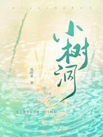 小树洞歌词