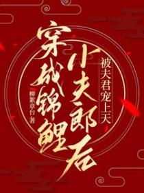 穿成锦鲤小夫 郎