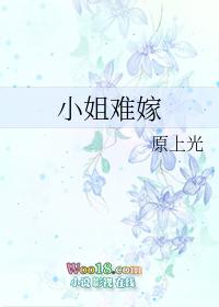 小姐难嫁gl笔趣阁免费阅读全文最新章节列表