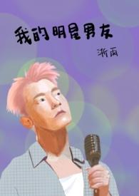 我的明星男友美国