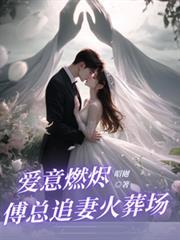 傅总追妻火葬场晋江