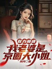 权力巅峰我老婆是京圈大小姐作者将河
